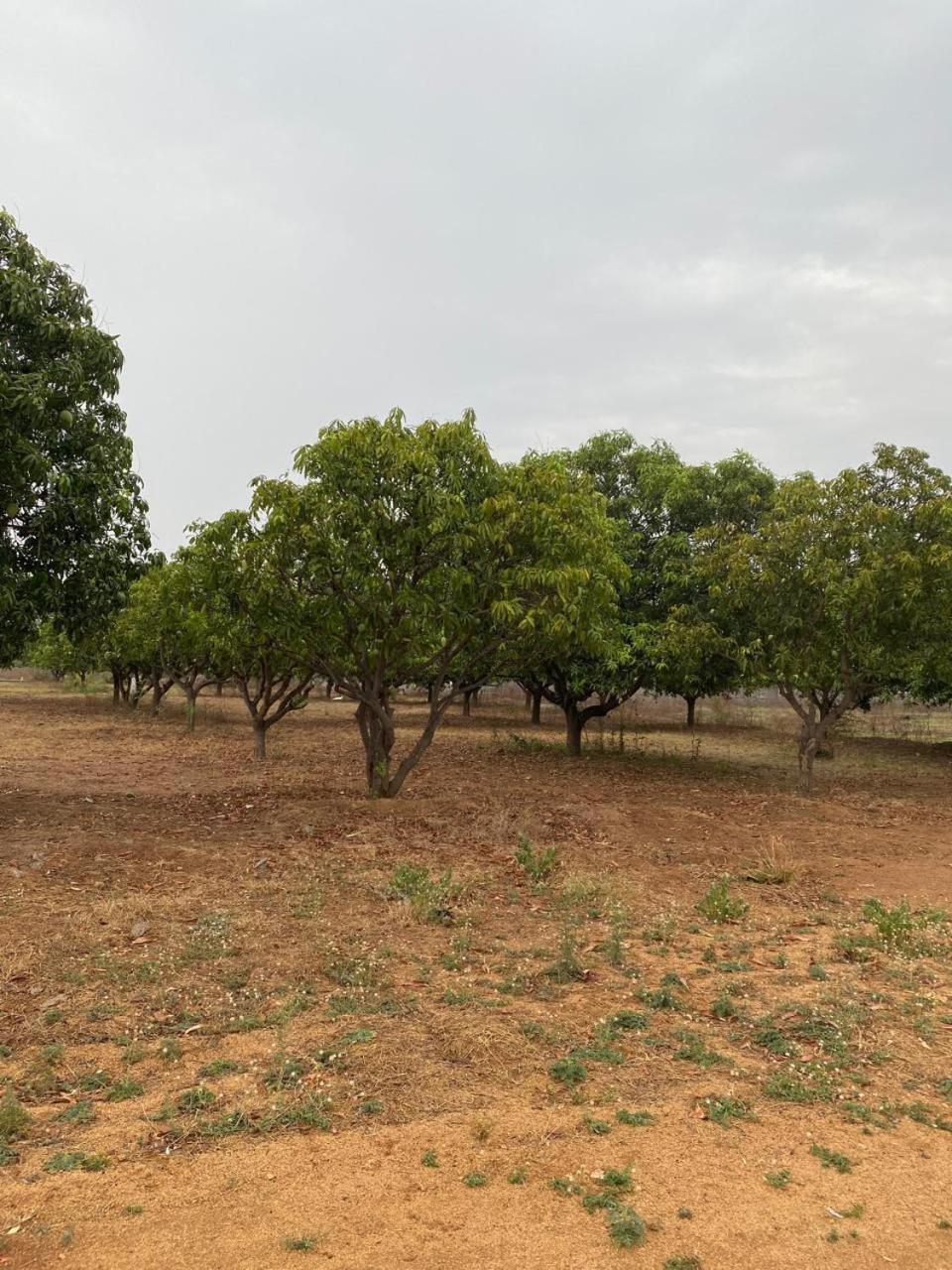 Pn Farm Villa Hyderabad Exterior foto