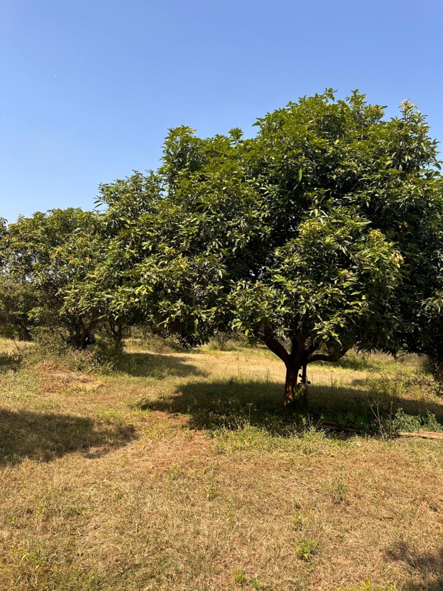 Pn Farm Villa Hyderabad Exterior foto