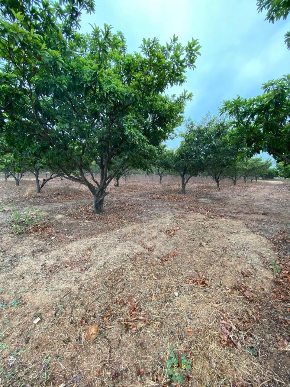Pn Farm Villa Hyderabad Exterior foto